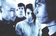 Foto de AFI by 