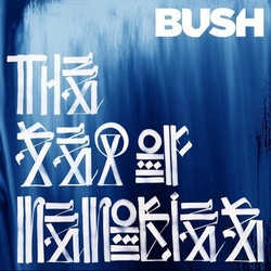 Bush letras