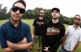 Foto de Dead Fish
