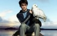 Foto de Harry Potter