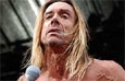 Iggy Pop letras