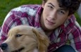 Foto de Jonas Brothers