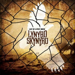 Lynyrd Skynyrd letras