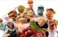 Foto de Muppets