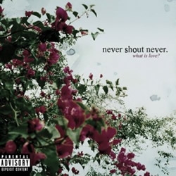 Never Shout Never letras
