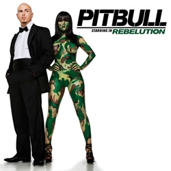 Pitbull letras