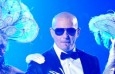 Foto de Pitbull