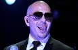Foto de Pitbull