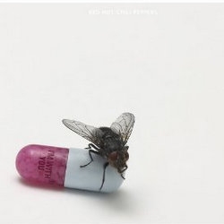 Red Hot Chili Peppers letras