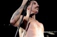 Foto de Red Hot Chili Peppers