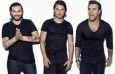 Foto de Swedish House Mafia