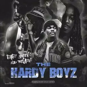 THE HARDY BOYZ