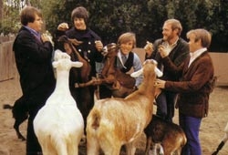 The Beach Boys letras