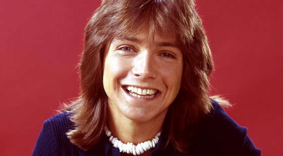 David Cassidy letras