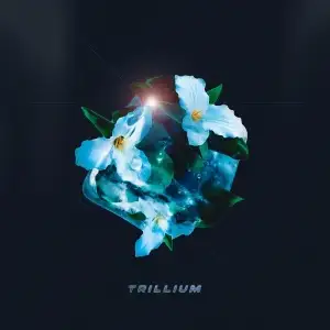 Trillium