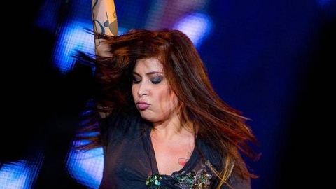 Pitty, Leoni, Criolo e Tom Morello apoiam as manifestações que tomaram as ruas do Brasil