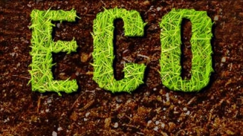 Especial Eco