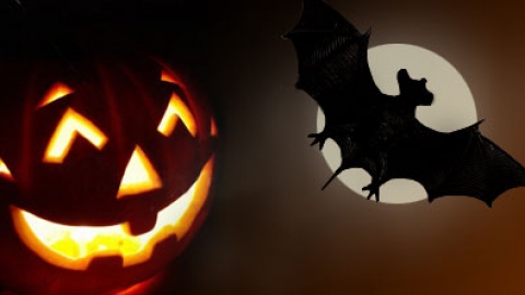 Especial Halloween