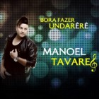 Manoel TavaresOficial