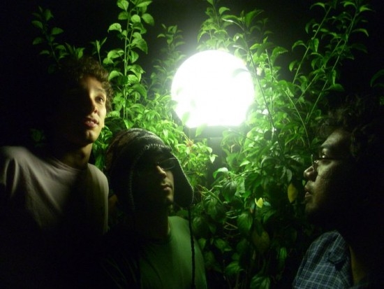 luneta-magica - Fotos