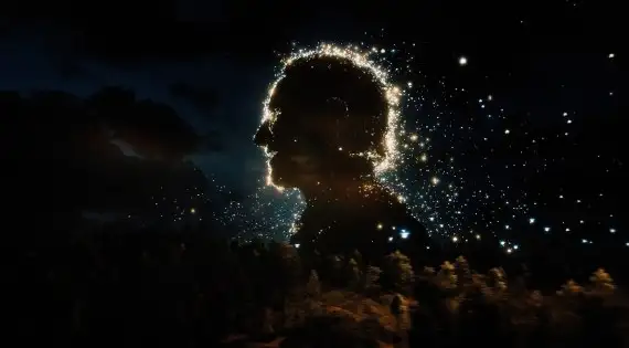 O Dj e a famosa banda de rock lançam o clipe de "Fireflies". Assista com a letra e a tradução!