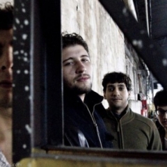 Selvagens À Procura de Lei