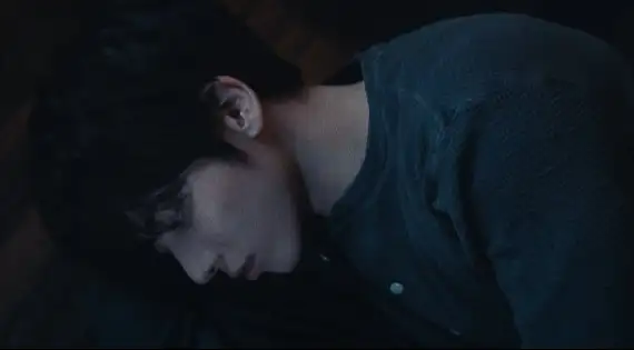 Assista ao novo clipe, "Bird Of The Night", com a letra e a tradução!