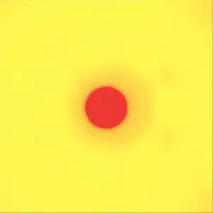 XOXO: From Love & Anxiety In Real Time